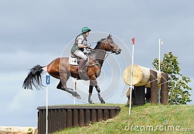 Horse after jump Editorial Stock Photo