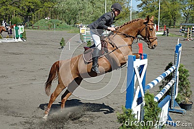 Horse jump Editorial Stock Photo