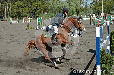 Horse jump Editorial Stock Photo