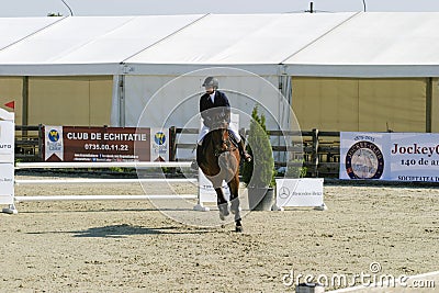 Horse jump at the equitation contest Stock Photo