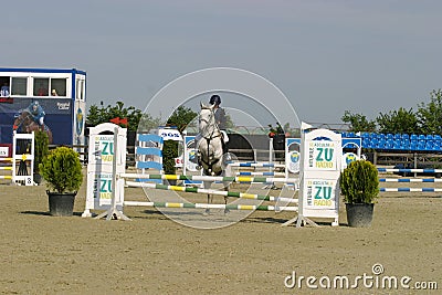 Equitation contest, horse jumping over obstacle Editorial Stock Photo