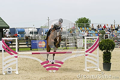 Equitation contest, horse jumping over obstacle Editorial Stock Photo