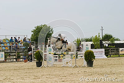 Equitation contest, horse jumping over obstacle Editorial Stock Photo