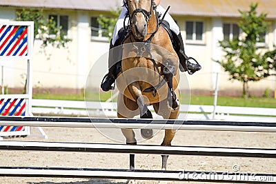 Horse jump a hurdle Stock Photo