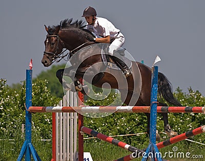 Horse jumping show Stock Photo