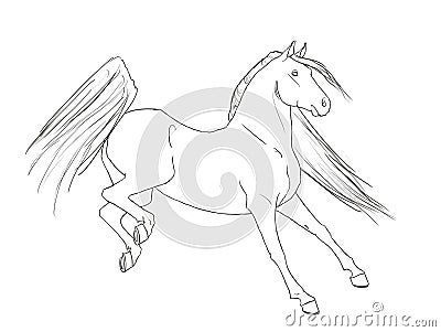 Horse Line Art Equine Horses Stallion Black White Drawing Stock Photo