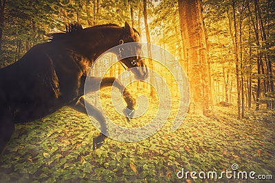 Horse in a Magical Fiery Forest Stock Photo