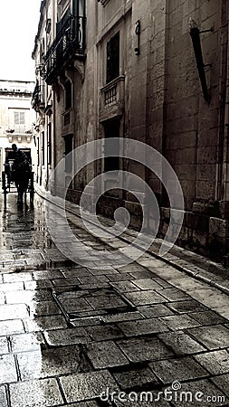 Horse man on a wet street in Malta Editorial Stock Photo