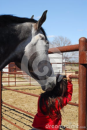 Horse nudging little girl Stock Photo