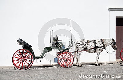 Horse and open Carriage Stock Photo
