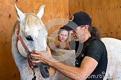 Horse osteopathy Editorial Stock Photo