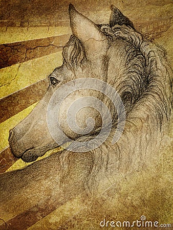 Horse in pasture Stock Photo
