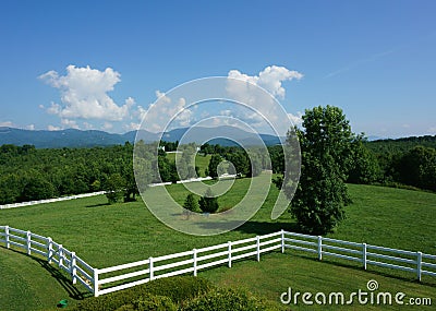 Horse Pasture in South Carolina Stock Photo