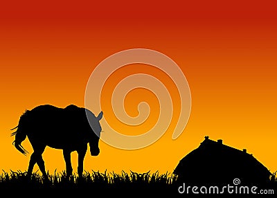 Horse on pasture at sunset near stable Cartoon Illustration