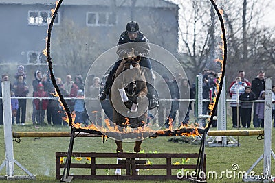 Horse police fire barrier jumping Editorial Stock Photo