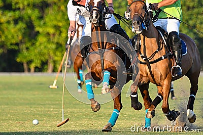 Horse polo battle Stock Photo