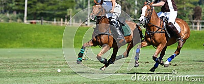 Horse Polo Player battle Stock Photo