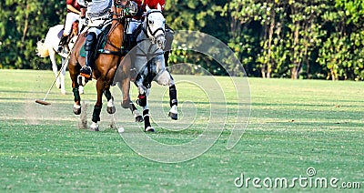 Horse Polo Player Stock Photo