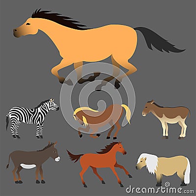 Horse pony stallion isolated different breeds color farm equestrian animal characters vector illustration. Vector Illustration