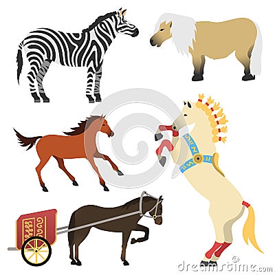 Horse pony stallion isolated different breeds color farm equestrian animal characters vector illustration. Vector Illustration