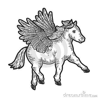 Horse pony with wings. Scratch board imitation. Black and white hand drawn image. Vector Illustration