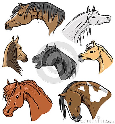 Horse Portrait Collection Vector Illustration