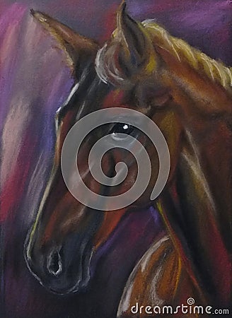 The horse portrait. Realistic pastel illustration Cartoon Illustration