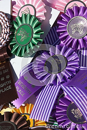 Horse prize rosettes Stock Photo