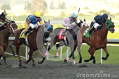 Horse Race Editorial Stock Photo