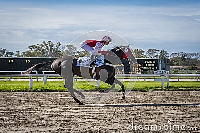 A horse race Editorial Stock Photo