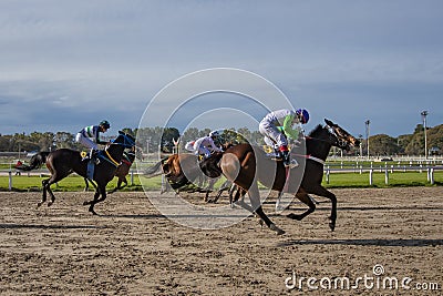 A horse race Editorial Stock Photo