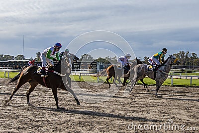 A horse race Editorial Stock Photo