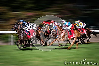 Horse race motion blur, racing horses Stock Photo