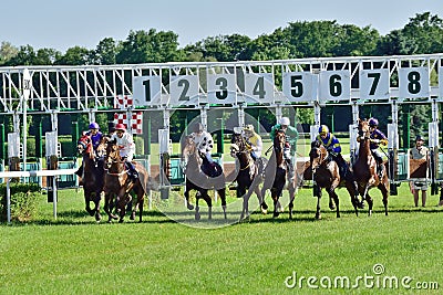 Horse race for the prize of the President of the City of Wroclaw on Juni 8, 2014. Editorial Stock Photo