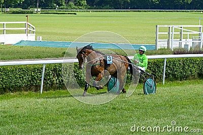 Horse race Editorial Stock Photo