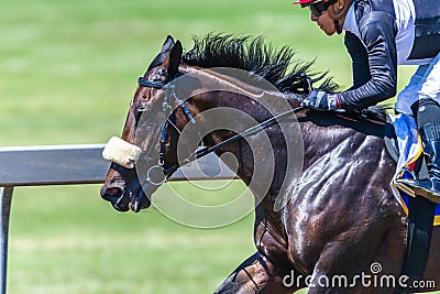 Horse Racing Jockey Closeup Speed Motion Editorial Stock Photo