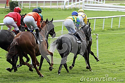 Horse Racing Stock Photo