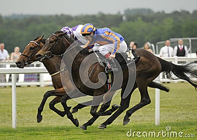 Horse Racing Editorial Stock Photo