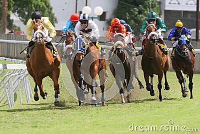 Horse Racing Editorial Stock Photo