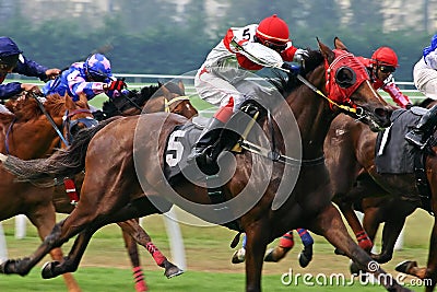 Horse Racing Stock Photo