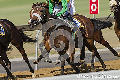 Horse Racing Stock Photo