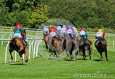 UK Horse Racing. The final turn. A rear end view Editorial Stock Photo
