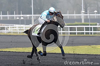 Horse racing Editorial Stock Photo