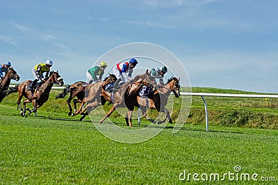 Horse Racing in the UK Editorial Stock Photo