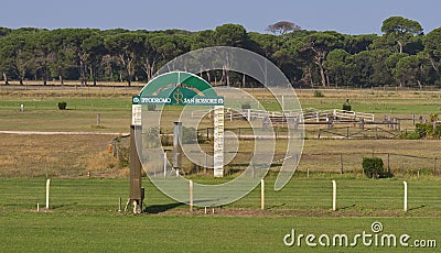 Horse Racing Track San Rossore in Tuscany. Editorial Stock Photo