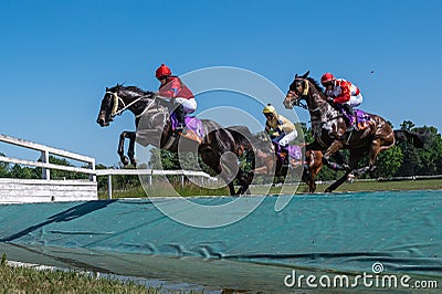 horse racing Editorial Stock Photo