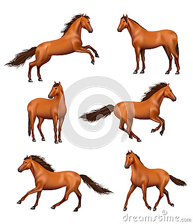 Horse realistic. Wild galloping horses fast running different action poses decent vector illustrations set Vector Illustration