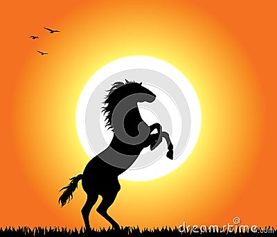 Horse Rearing At Sunset Vector Illustration