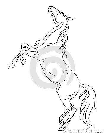 Horse rearing up sketch Vector Illustration