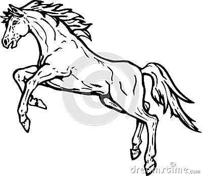 Horse Rearing Vector Illustration Vector Illustration